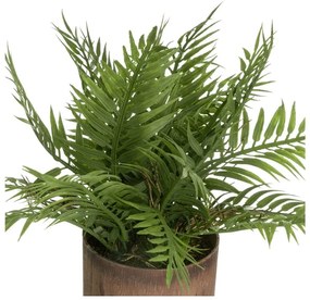 Plante artificiale 2 buc. (înălțime 22 cm) – Casa Selección