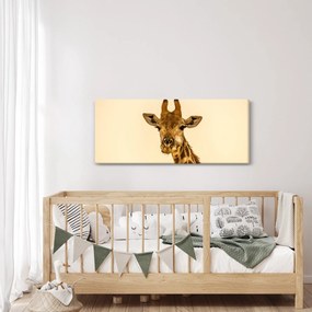 Tablou cu girafe (120x50 cm)