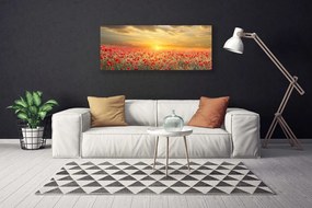 Tablou pe panza canvas Sun Meadow Poppy Flori Natura Galben Roșu Verde