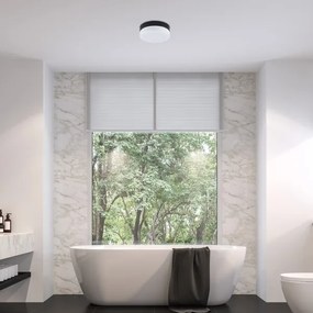 Plafonieră LED pentru baie Rabalux 75025 GAELO LED/15W/230V d. 23 cm negru