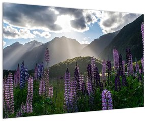 Tablou - scenariu cu flori de Lupin (90x60 cm)