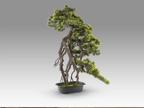 Set de 2 Plante artificiale, Kengai BONSAI 74cm