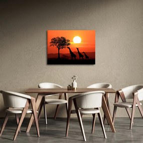 Tablou cu girafe în apus de soare (70x50 cm)