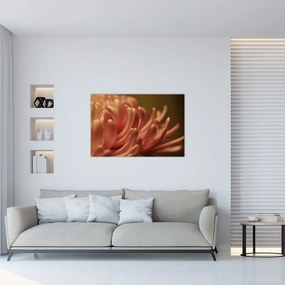 Tablou cu detailu florii (90x60 cm)