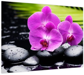 Tablou - Orhidee (70x50 cm)