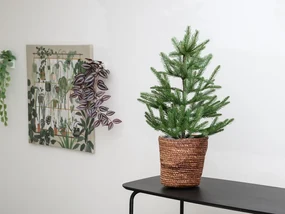 Ghiveci din iarba de mare SEAGRASS BASKET 20 cm
