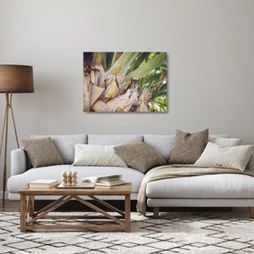 Tablou pe sticlă cu veverița în copaci (70x50 cm)