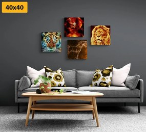 Set tablouri abstracție de animale misterioasă
