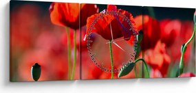 Tablou - flori de maci (cu ceas) (90x30 cm)