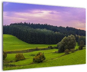 Tablou cu lunca (90x60 cm)