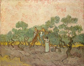 Reproducere The Olive Pickers, Saint-Remy, 1889, Vincent van Gogh