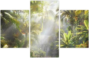 Tablou - Pădure tropicală (90x60 cm)