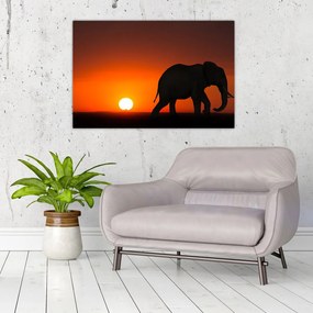 Tablou cu elefant în apus de soare (90x60 cm)