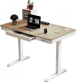 Birou Electric Reglabil pe Înălțime cu Sertar Ascuns, Încărcare Wireless & USB, Senzor de siguranță, 140x60, Stejar deschis/Alb