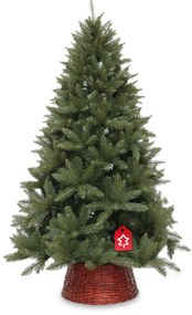 Molid Caucazian 2D 150 cm