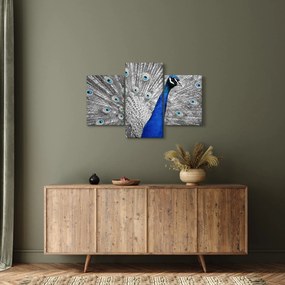 Tablou - păun albastru (90x60 cm)