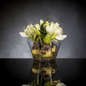 Aranjament floral mic decor festiv design LUX, VASE MASSY BULB 1140955.95