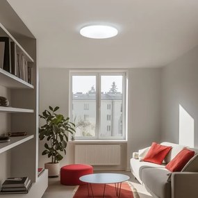 Plafonieră LED dimabilă Brilagi OPAL LED/24W/230V 3000/4000/6500K + telecomandă