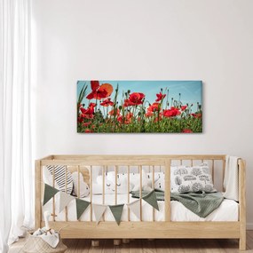 Tablou - Pe câmpul cu maci (120x50 cm)