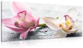 Tablou flori de orhidee