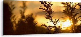 Tablou - Apus de soare (120x50 cm)