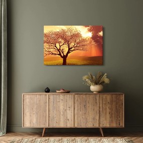 Tablou cu razele lui Dumnezeu (90x60 cm)