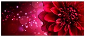Tablou cu floare roșie (120x50 cm)