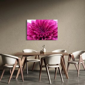 Tablou cu floare (90x60 cm)
