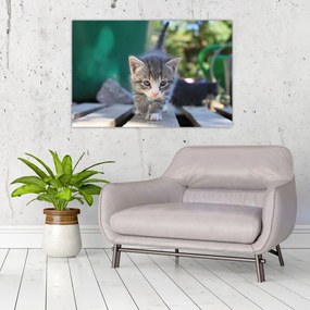 Tablou cu pisicuțe (90x60 cm)