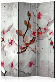 Paravan - Concrete Orchid [Room Dividers]