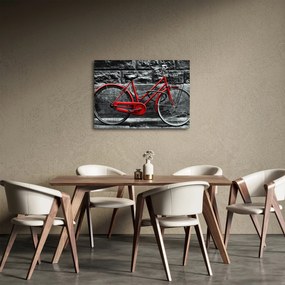 Tablou - Bicicleta istorică (70x50 cm)