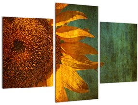 Tablou - Floarea soarelui (90x60 cm)