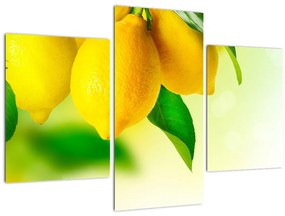 Tablou cu lămâi (90x60 cm)