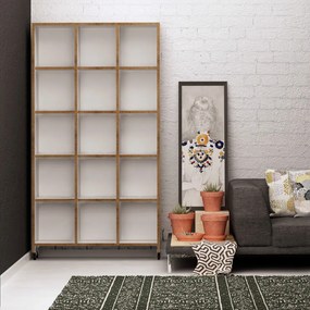 Biblioteca Crotone, Stejar