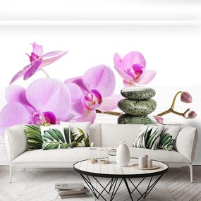 Fototapet Orhideea Spa