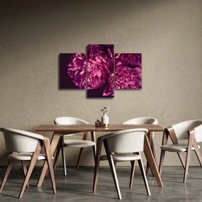 Tablou - Floarea bujorului (90x60 cm)