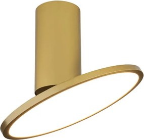 Spot aplicat LED 12W, directionabil, auriu