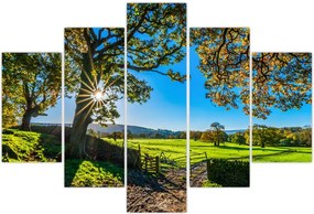 Tablou Privire la câmp (150x105 cm)