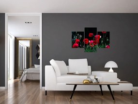 Tablou - Dansul macilor (90x60 cm)