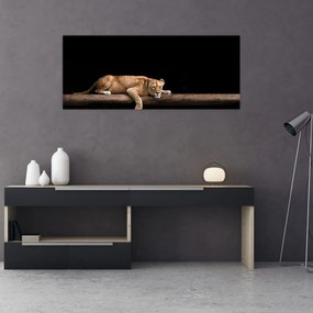 Tablou - Lioness (120x50 cm)