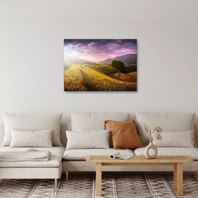 Tablou peisajului (70x50 cm)