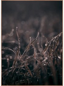 Tablou 50x70 cm Mellow Grasses 5 – Malerifabrikken