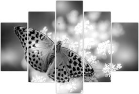 Tablou - Detailu cu fluture care polenizează floare (150x105 cm)