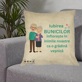 Cadou pentru Bunici - Perna Personalizata Bunicii Iubirea Infloreste Cuplu Senior Teal, 40x40 cm, Crem, Husa Detasabila, Perna Inclusa, BEKZ®