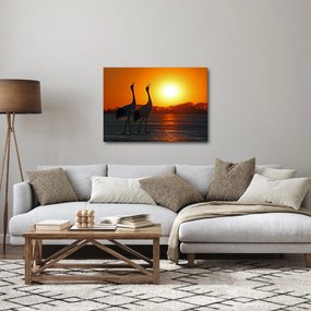 Tablou cu păsări în apus de soare (70x50 cm)