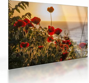 Tablou pe sticlă cu apus de soare cu flori de maci (70x50 cm)