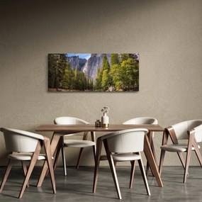 Tablou cu stânci (120x50 cm)