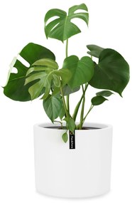 Gendt, ghiveci de flori, piatră fibroasă, interior / exterior