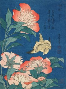 Reproducere Peonies and canary (1834), Katsushika Hokusai