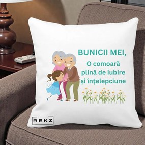 Cadou pentru Bunici - Perna Personalizata Bunicii Mei Comoara Iubire Intelepciune Nepoata, 40x40 cm, Alba Mata, Husa Detasabila, Perna Inclusa, BEKZ®